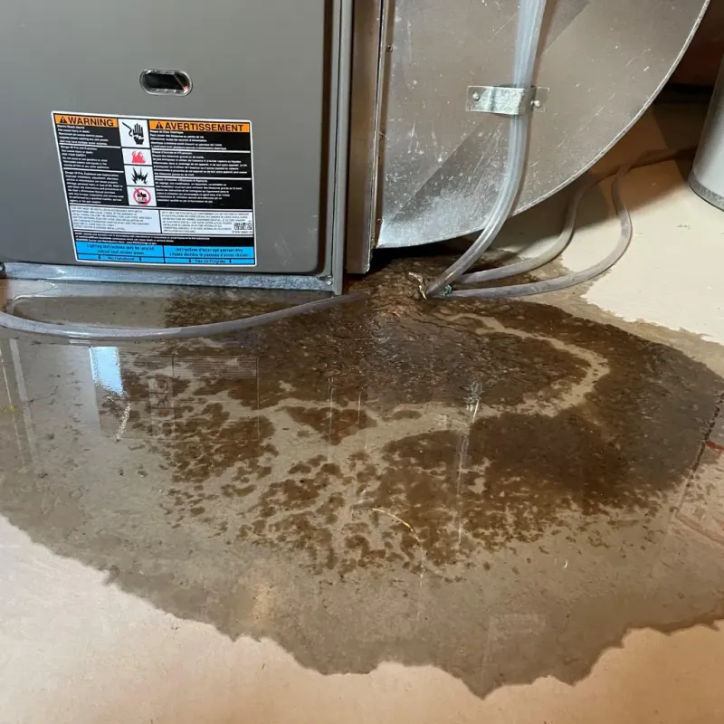 Appliance Leak Cleanup in Steele, MO