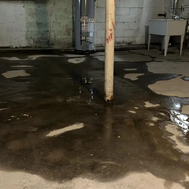 Emergency Water Extraction And Removal in Steele, MO